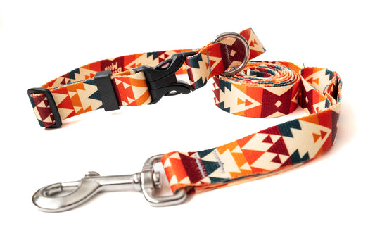 Sol Collar and Leash