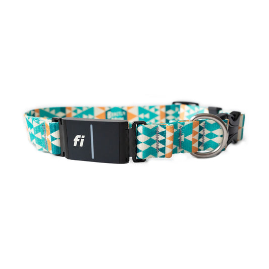 Eos Fi Dog Collar