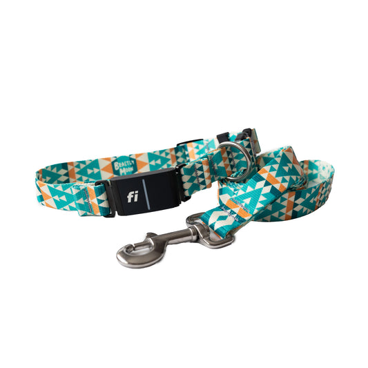 Eos Fi Collar and Leash