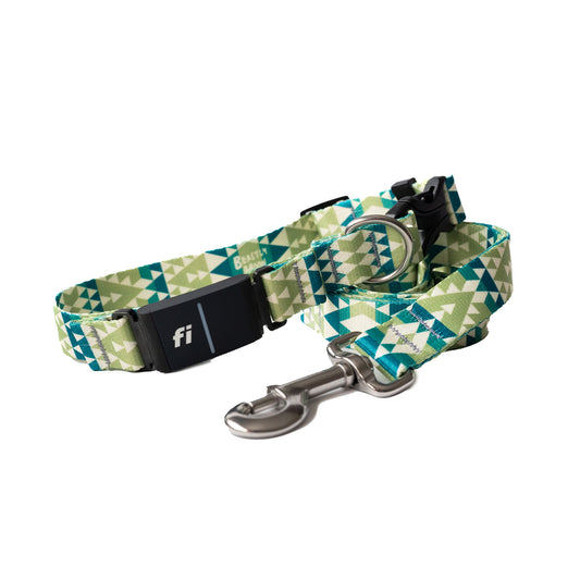 Gaia Fi Collar and Leash