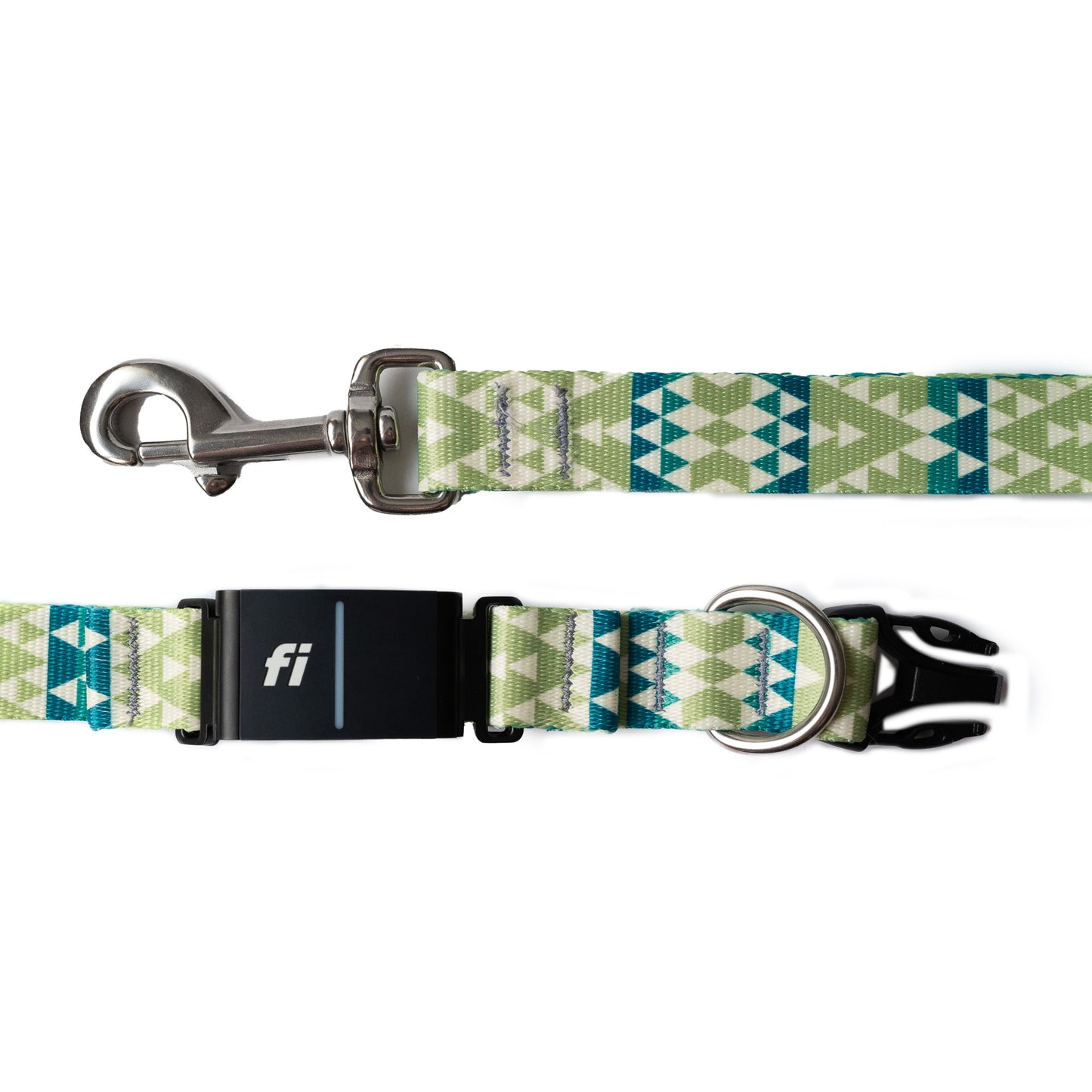 Gaia Fi Collar and Leash