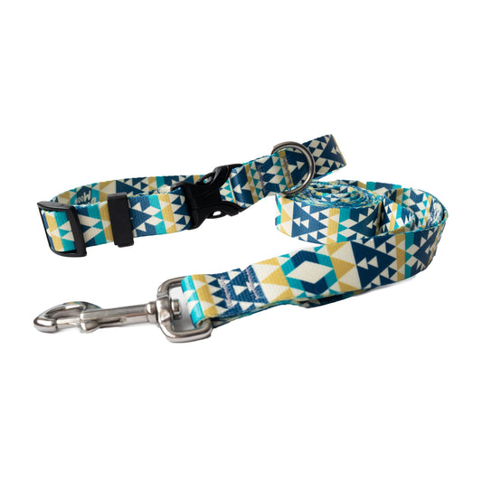 Helios Collar and Leash