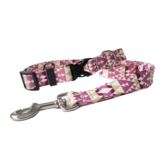 Nyx Collar and Leash