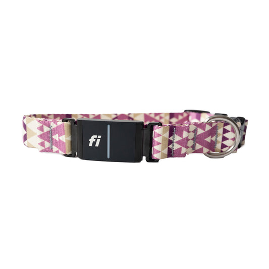 Nyx Fi Dog Collar