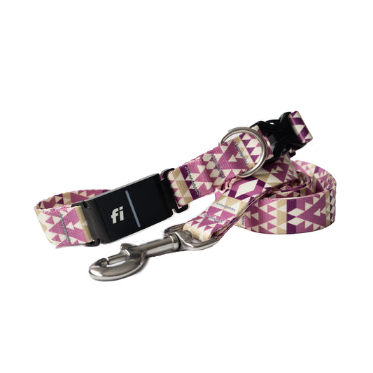 Nyx Fi Collar and Leash