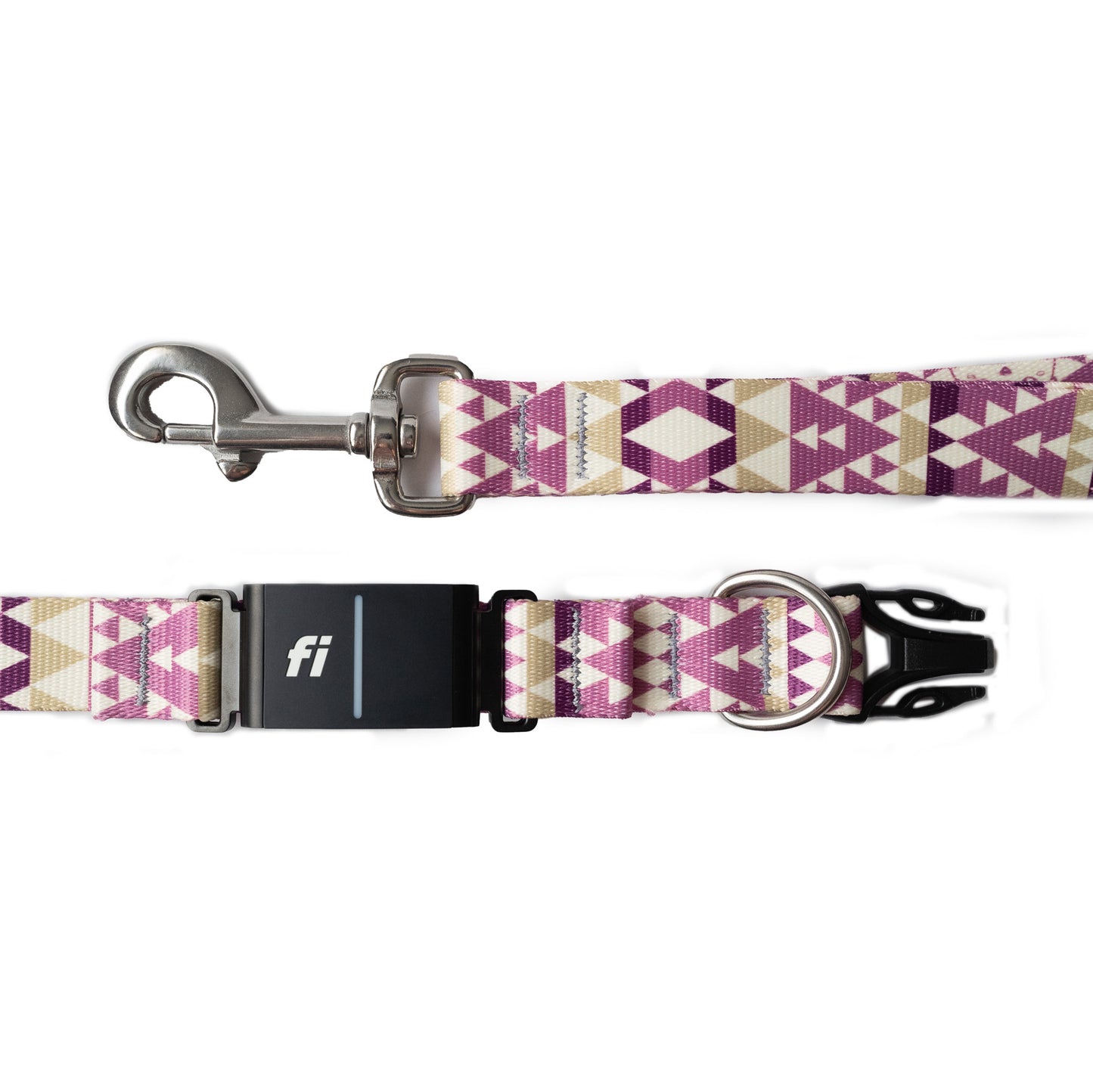 Nyx Fi Collar and Leash