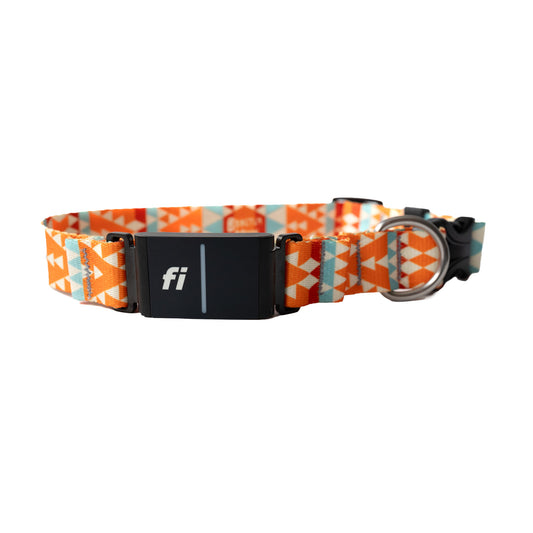 Collar para perro Orion Fi