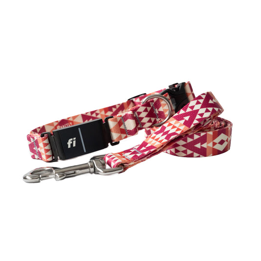 Selene Fi Collar and Leash