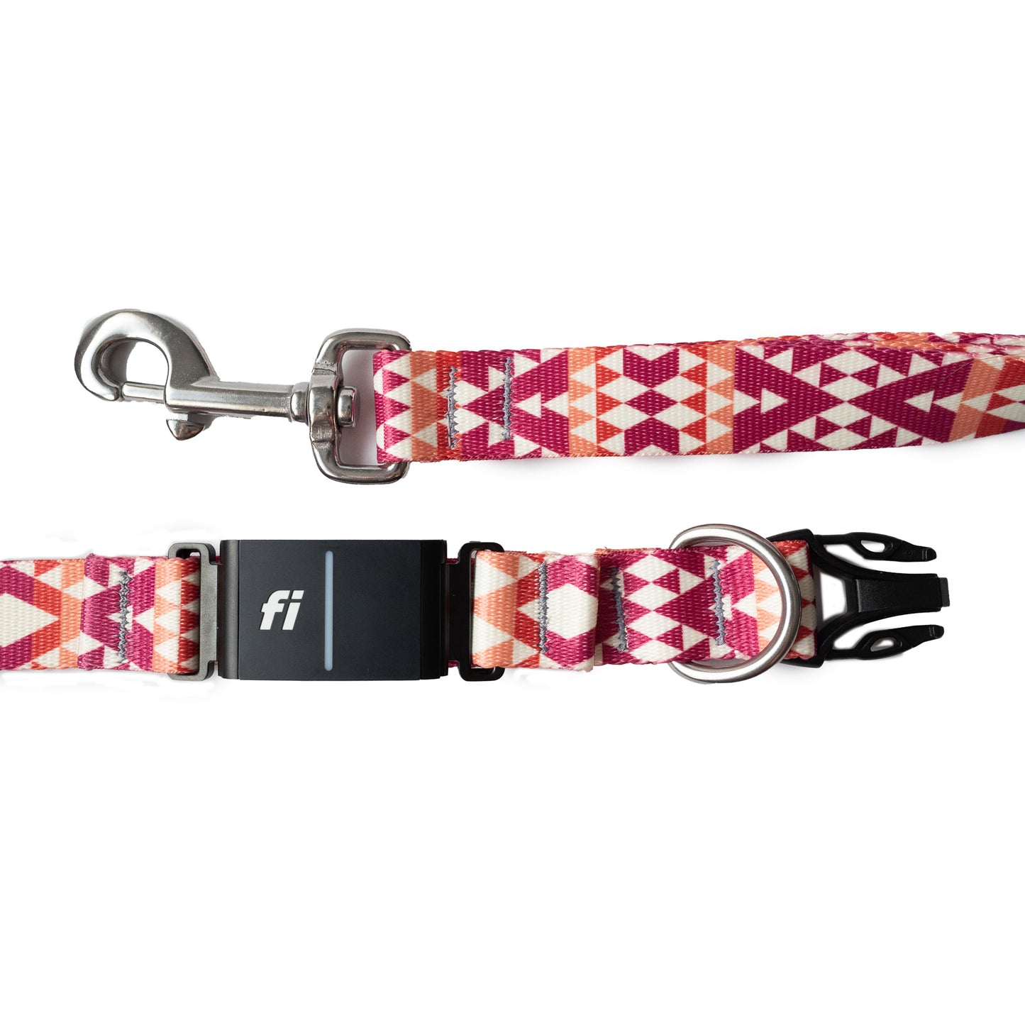 Selene Fi Collar and Leash